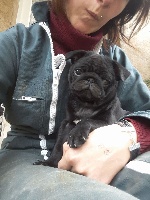 CHIOT